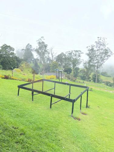 a ping pong table in a field of grass at Glamping Ecoturistico La Villa in Las Tapias