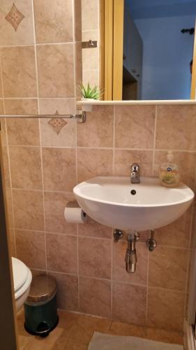 a bathroom with a sink and a toilet at Sobe Biserka i Mario Brseč in Brseč