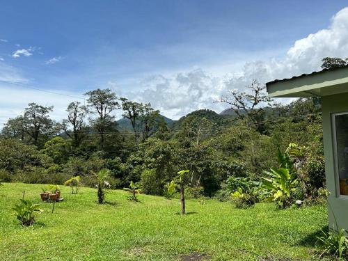 a house with a field of grass and trees at Selvática del Toro in Bajos del Toro