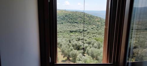a window with a view of a forest of trees at Torre Bruno in Carpino