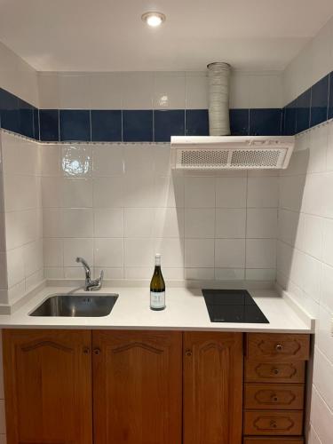 una cocina con fregadero y una botella de vino en Casa Rural Aras Apartamentos Turísticos, en Aras de Olmos