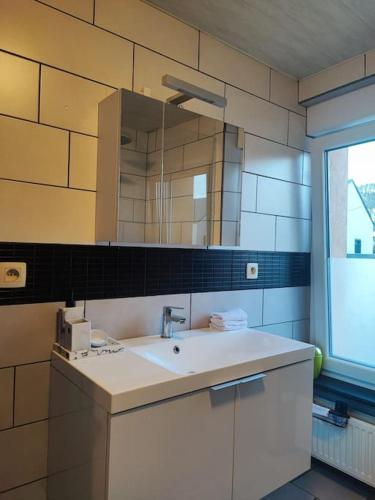 a bathroom with a sink and a mirror at La maison des Oiseaux in Martelange