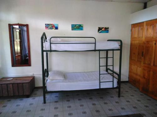 two bunk beds in a room with a door at La Palapa Hut Nature Hostel in Puerto Jiménez