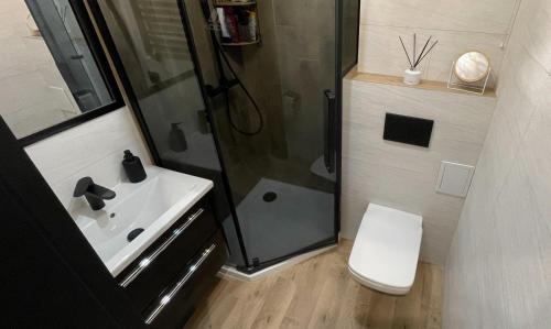 a bathroom with a shower and a toilet and a sink at Ustroń Jaszowiec Apartament Basia in Ustroń
