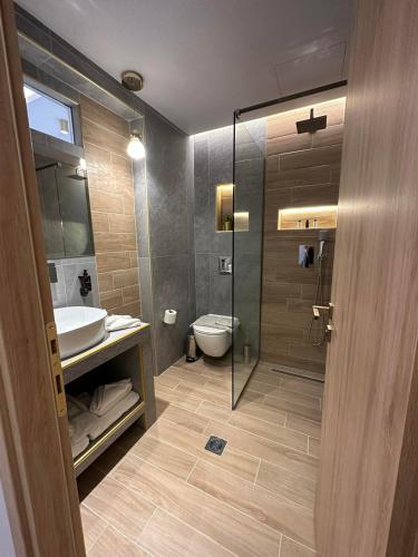 a bathroom with a shower and a toilet and a sink at Meteora Gold and Glass in Kalabaka