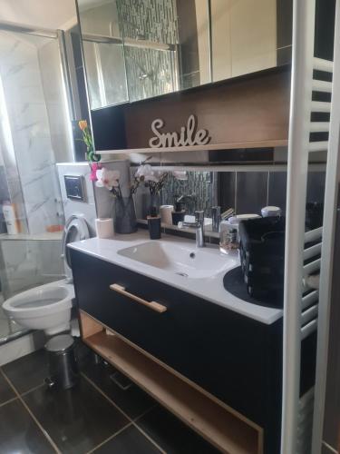 un baño con lavabo e inodoro en Casa Ap Dayana, en Eforie Sud