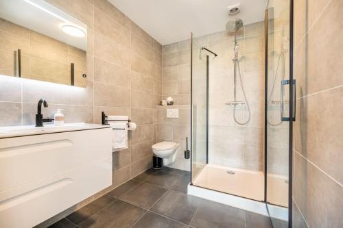 een badkamer met een douche, een toilet en een wastafel bij Gastsuite Foar elkoar Hilaard. in Hijlaard