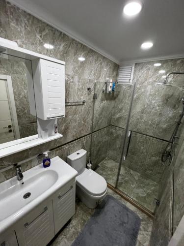 La salle de bains est pourvue d'une douche, de toilettes et d'un lavabo. dans l'établissement Amazing 1 bedroom penthouse apartment with large terrace in Sisli, à Istanbul