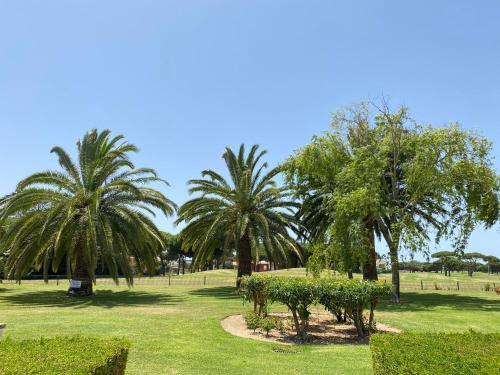un parque con palmeras y un camino en NOVO SANCTI PETRI - CASA CON ENCANTO en Novo Sancti Petri
