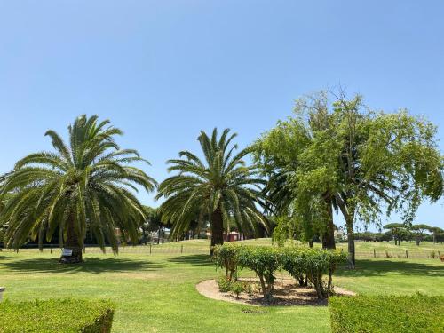 un parco con palme e un sentiero di NOVO SANCTI PETRI - CASA CON ENCANTO a Novo Sancti Petri