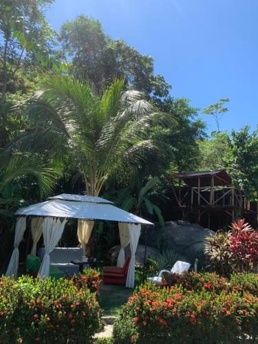 a garden with an umbrella and a palm tree at Kimara Tayrona Hostel in El Zaino