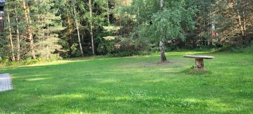 a bench sitting in the middle of a green field at Domek na Mazurach-Piasutno in Piasutno