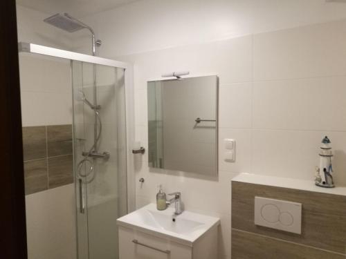 a bathroom with a shower and a sink and a mirror at FEWO-fuer-2-Pers-Hafenblick-2-Ueckermuende-Stettiner-Haff-Ostsee-direkt-Yachthafen in Ueckermünde