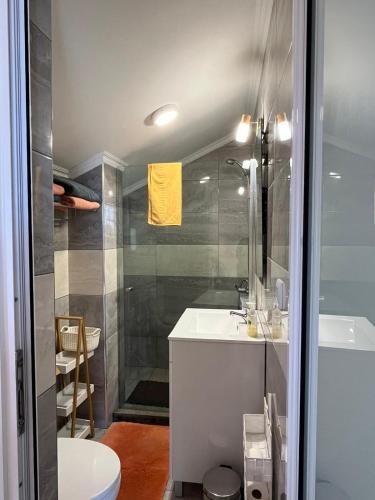 a bathroom with a shower and a sink and a toilet at Tropical House in Ribeira Brava