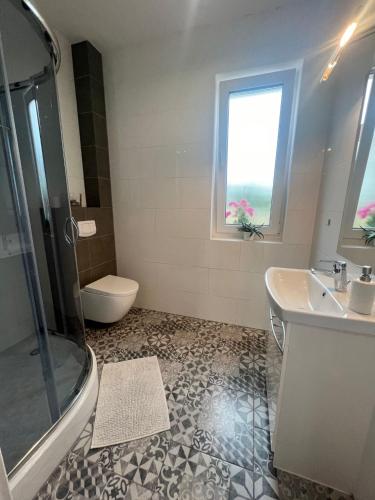 a bathroom with a shower and a sink and a toilet at Apartament Wrzosowa in Kudowa-Zdrój