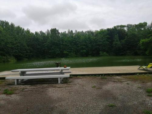 un banco sentado en un muelle junto a un lago en Cottage autour de l'étang 79, en Bourbourg