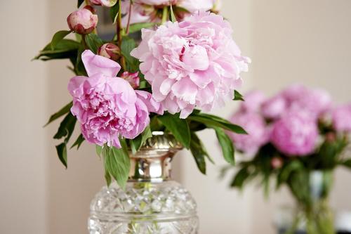a glass vase filled with pink flowers on a table at Hotel Admiral am Kurpark in Baden