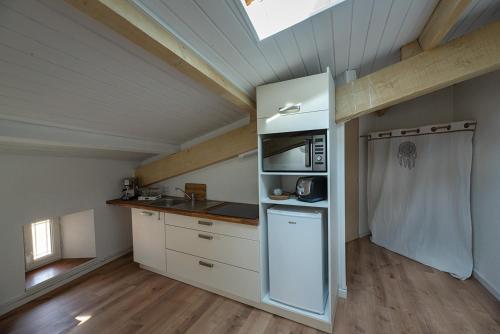 a kitchen with a refrigerator and a stove top oven at Clos La Vigne in Cornas