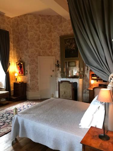 a bedroom with a bed in a room at Chateau de Vesset in Tréteau