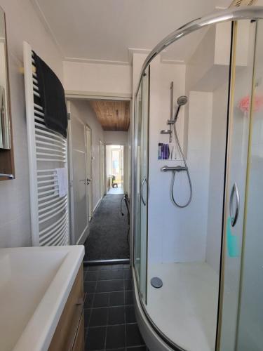 een badkamer met een douche en een wastafel bij Beautiful spacious appartment at top location The Hague in Den Haag