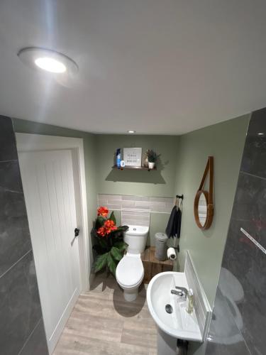 a bathroom with a toilet and a sink at Eddies Lodge & Spa 3 bedroom cottage in Dungiven