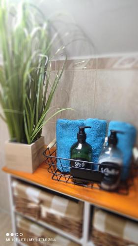 a table with two bottles on it with a plant at Zala Holiday Apartman in Keszthely