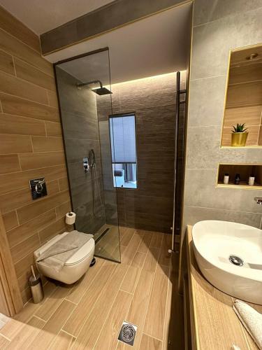 a bathroom with a shower and a toilet and a sink at Meteora Gold and Glass in Kalabaka