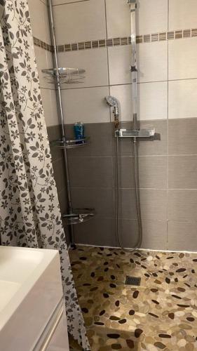 a shower in a bathroom with a shower curtain at Chez Sabine et Pascal in Meyzieu