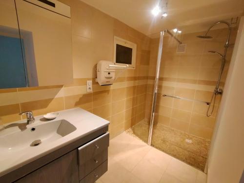 une salle de bain avec un lavabo et une douche dans l'établissement Naturaleza-Gîte les Cèdres, à Tournon-dʼAgenais
