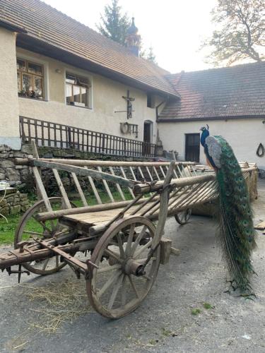 un pavo real sobre un carro de madera en Chalupa Gretl, en Pohorsko