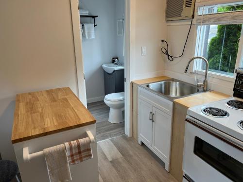 a small kitchen with a sink and a toilet at Kit Wat Motel & Marina in Sauble Beach