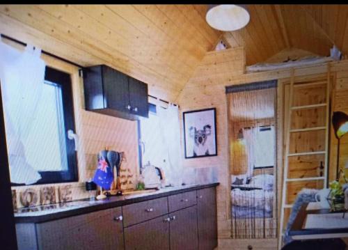 cocina con paredes de madera y techo de madera en Bio Kinder Erlebnis Bauernhof Voit en Söchtenau