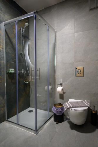 a bathroom with a shower and a toilet at The five keys in Monodendri