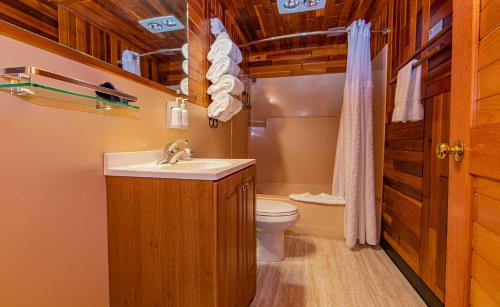 a bathroom with a sink and a toilet at Cooper Spur Mountain Resort in Mount Hood