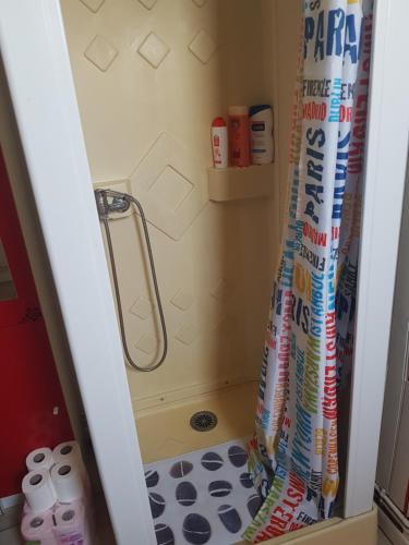 une douche avec un rideau de douche dans une salle de bain dans l'établissement maisonette proche Bourges 1 pièce, à Mehun-sur-Yèvre