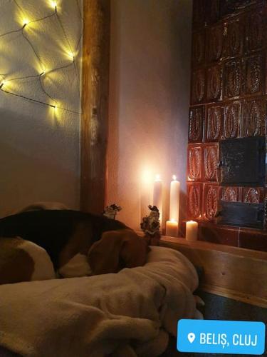 Φωτογραφία από το άλμπουμ του Cosy wooden house in the heart of Apuseni. σε Beliş