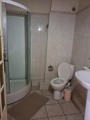 een badkamer met een toilet, een douche en een wastafel bij Le provençal in Manosque