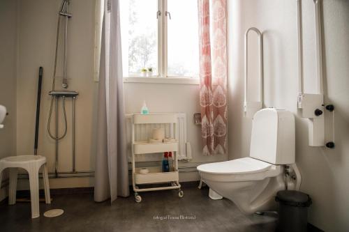 a bathroom with a toilet and a window at Kalvs Skolhus in Kalv