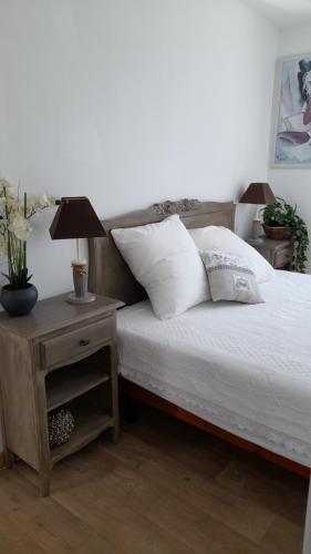 a bedroom with a bed and a table with a lamp at CHEZ JACQUES ET MANUE in Six-Fours-les-Plages