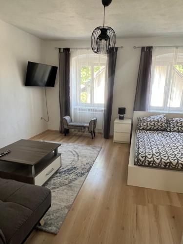 Apartment in Gmunden في غموندين: غرفة معيشة مع سرير وأريكة