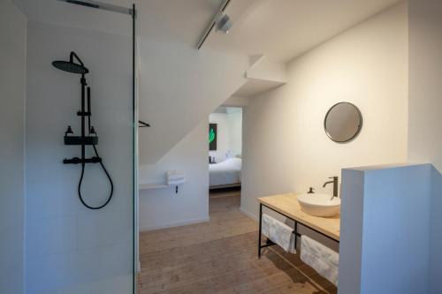 een badkamer met een wastafel en een spiegel bij Le Charbonnage in Genk