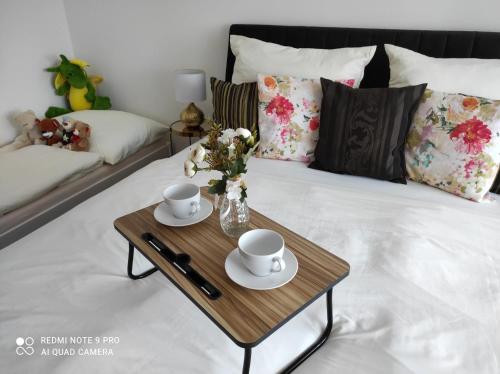 Apartmán Miror-Jiné ubytování Lednice