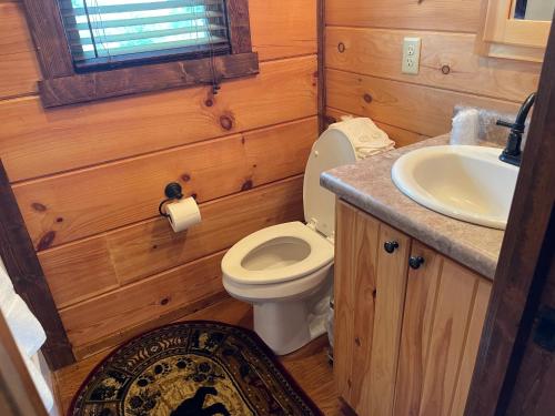 Cabin on Gold Mine Hill في هيندرسونفيل: حمام مع مرحاض ومغسلة