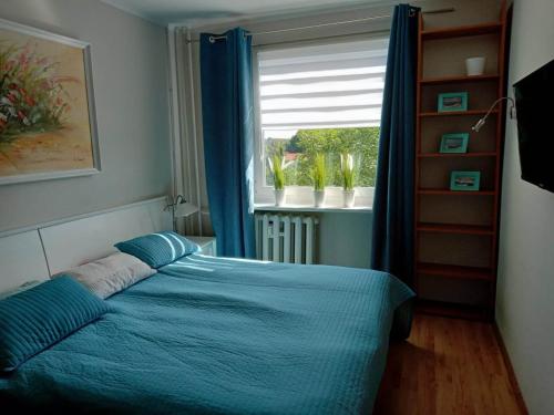 コウォブジェクにあるApartament na Ogrodachのベッドルーム(青いベッド1台、窓付)