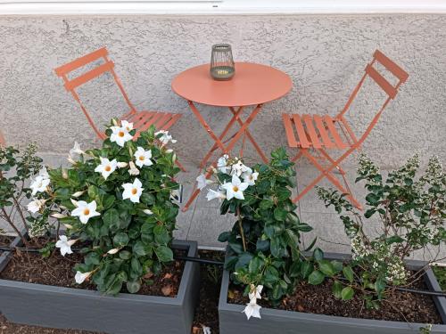 2 Stühle, ein Tisch, ein Tisch und Blumen in der Unterkunft Studio Le Jardin in Tournon-sur-Rhône