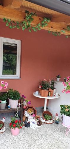 Zahrada ubytování Apartman Leon