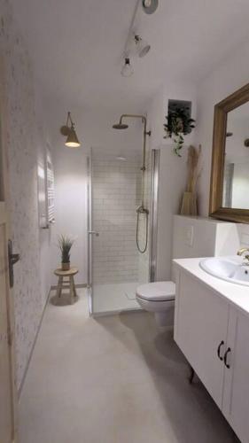 ein Bad mit einer Dusche, einem WC und einem Waschbecken in der Unterkunft Apartament&SPA Lis&Las in Sobótka