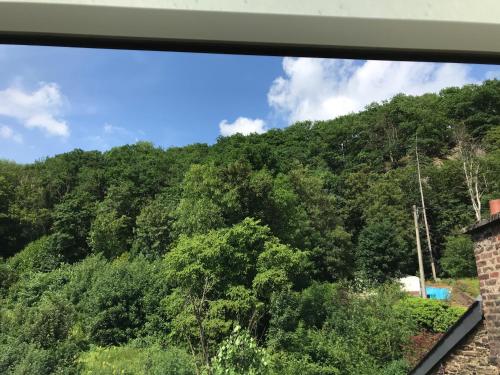 B&Bの近くで見られる自然の景観