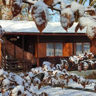 a herd of sheep standing next to a house in the snow at The Hideaway in Želiv