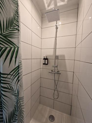 y baño con ducha de azulejos blancos. en Appartement indépendant dans maison avec jardinet, au calme, en Sérézin-du-Rhône